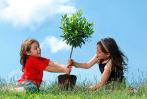 plantando árboles con composta compost-on